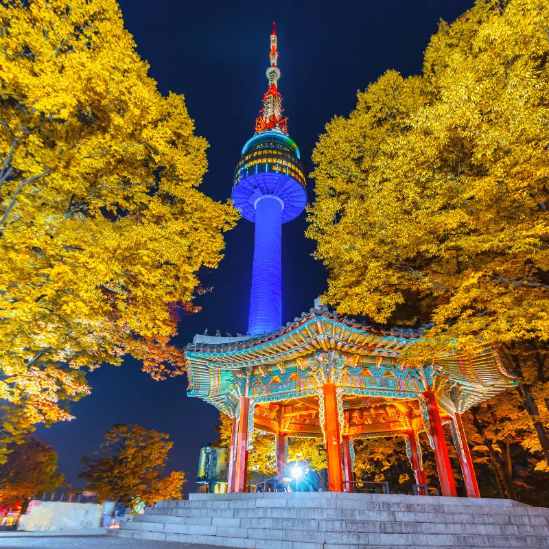 Namsan Tower and Seoul skyline at night, a landmark for AMP Interpro's Korea business consulting services clients